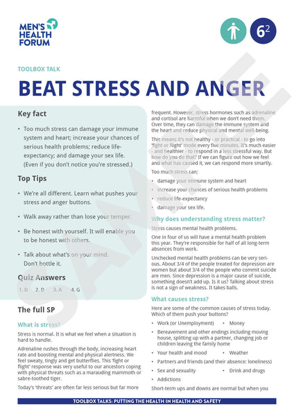 Toolbox Talk 6: Beat Stress & Anger (PDF + 3 days trial video)